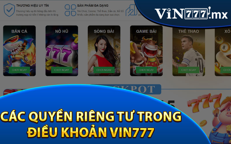 Các Quyền Riêng Tư Trong Điều Khoản Vin777