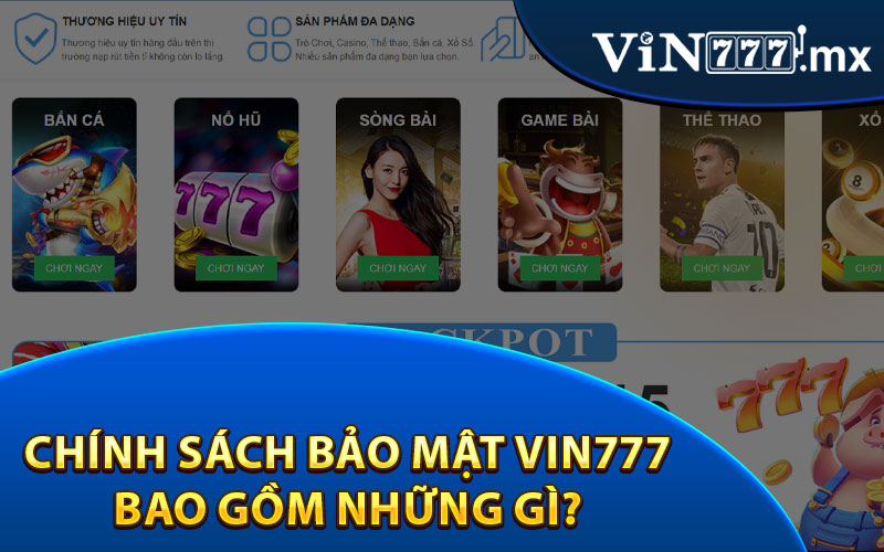 Chính Sách Bảo Mật Vin777 Bao Gồm Những Gì?